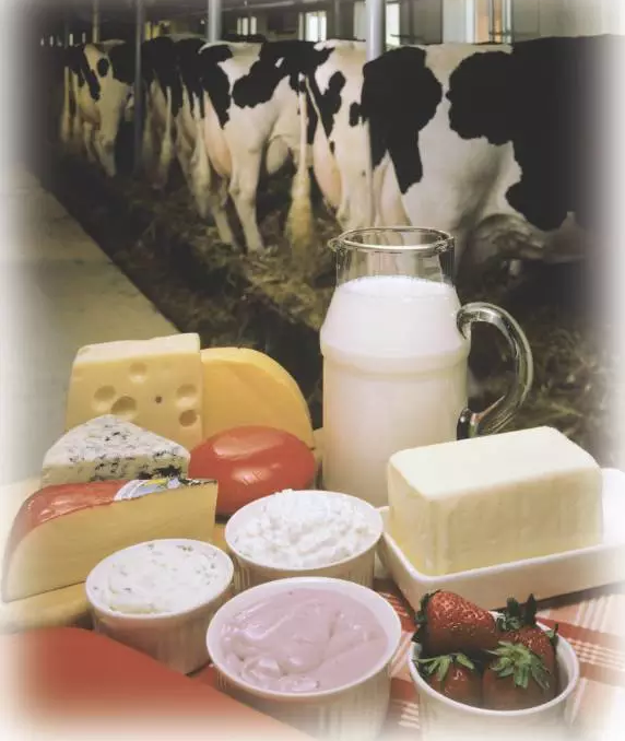 物聯(lián)網(wǎng)追溯頂層設計  實現(xiàn)從農田到餐桌食品安全